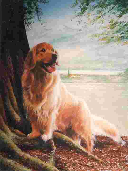 Chien